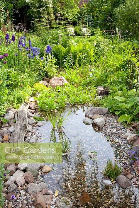 Mail - Lori Beasley - Outlook Pond In Garden, Garden Ponds Ideas, Wildlife Garden Design, Ponds Ideas, Garden Stream, Small Water Gardens, Ponds For Small Gardens, Wildlife Pond, Bog Garden