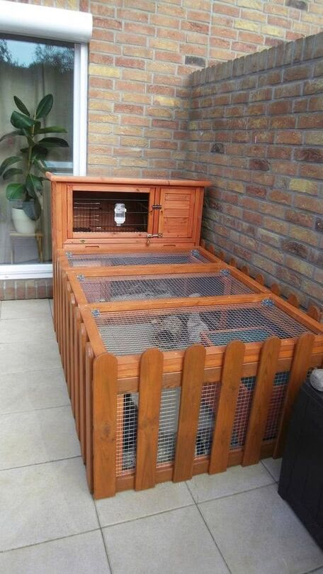 Rabbit Hutch Plans, Rabbit Shed, Diy Rabbit Cage, Rabbit Hutch Indoor, Diy Rabbit Hutch, Outdoor Rabbit Hutch, Rabbit Enclosure, Bunny Hutch, Guinea Pig House