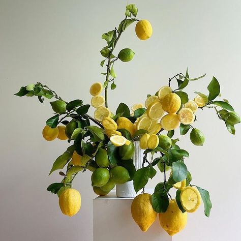 ASTRO ☆ DAPHNE on Instagram: "Seriously into lemons atm and im not mad about it 🍋⚡️ #astrodaphne #flowerdesign" Lemon Flower Arrangements, Lemon Arrangements, Lemon Bouquet, Im Not Mad, Built In Shelves Living Room, Lemon Grove, Lemon Flowers, Florals Wedding, Event Ideas