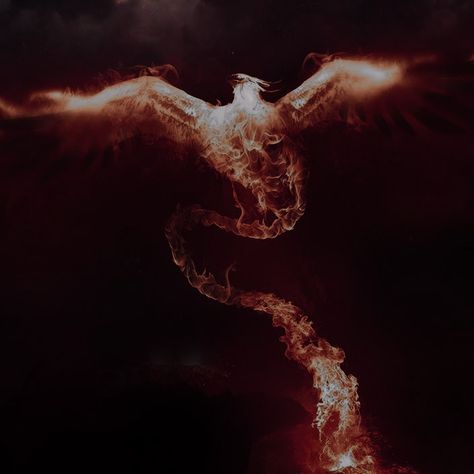 King Of Fire Aesthetic, Fire Bird Aesthetic, Phoenix Bird Aesthetic, Dragon Flame Aesthetic, Phoniex Bird Aesthetic, Pyrokenisis Aesthetic, Fire Bending Aesthetic, Wildfire Druid Aesthetic, Pheonix Aestethic