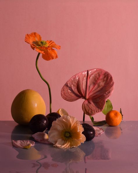 FLORAL — Carl Ostberg Flower Product Photography, Flower Art Direction, Fruit Installation Art, Carl Ostberg, Flower Instalation Art, Poppy Installation, Orchid Still Life Photography, Object Photography, Still Life Photos