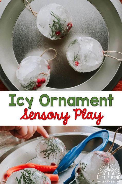 Here is a fun and simple ice sensory activity to try this winter! These ice spheres look just like Christmas bauble ornaments, making it the perfect sensory activity to try this holiday season! Children’s Christmas Activities, Kindy Christmas Activities, Baby Sensory Christmas Ideas, Ece Christmas Ideas, Christmas Provocations For Toddlers, Sensory Christmas Crafts, Christmas Sensory Play Preschool, Christmas Activities For Babies Eyfs, Sen Christmas Activities