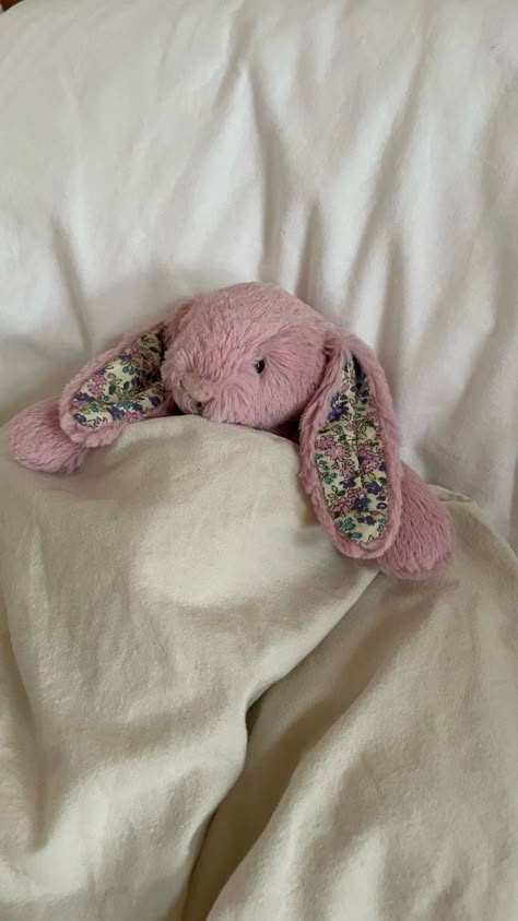 Bunny Jellycat, Jelly Bunny, Bashful Bunny, Jellycat Bunny, Jelly Cat, Jellycat Stuffed Animals, Sleepy Girl, Cute Diy Room Decor, Sonny Angel