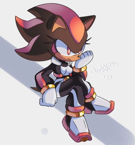 Shady the Hedgehog Female Sonic, Girl Shadow, Sonic Funny, Sonic Fan Characters, Shandy, Sonic Adventure, Sonic And Shadow, Sonic Art, Shadow The Hedgehog