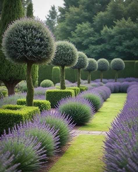 Topiary Garden Ideas, Evergreen Garden Design, Yew Topiary, Live Topiary, Boxwood Landscaping, Outdoor Topiary, Evergreen Landscape, Parterre Garden, Boxwood Garden