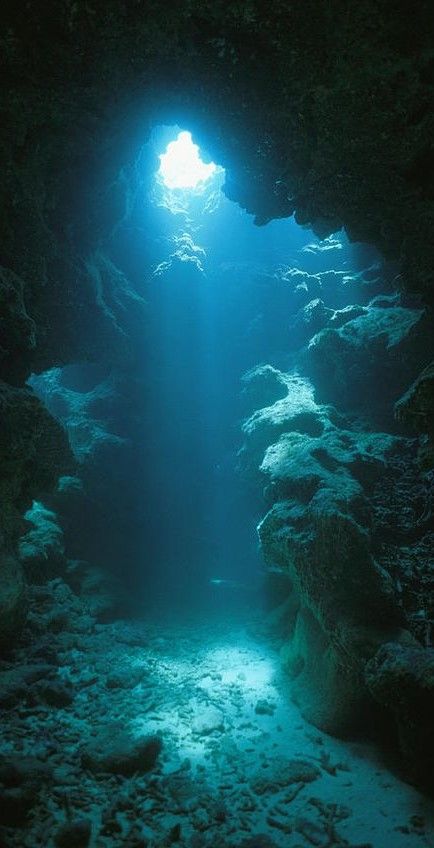 Beneath Jacob's Well. Wilmington. Texas. Underwater Seacave with a Heart Shaped Entrance by: A.I. [Photographer unknown]. Titanic Underwater, Lady Aesthetic, Underwater Caves, Mermaid Photography, Under The Water, Cave Diving, Aesthetic Pretty, Underwater Photos, Underwater Photography