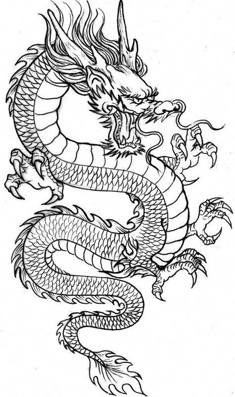 Mine Tattoo, 16 Tattoo, Japanese Dragon Tattoos, Dragon Tattoo Designs, Japanese Dragon, Tattoo Sketch, Cute Tattoos For Women, Best Sleeve Tattoos, Tattoo Flash Art