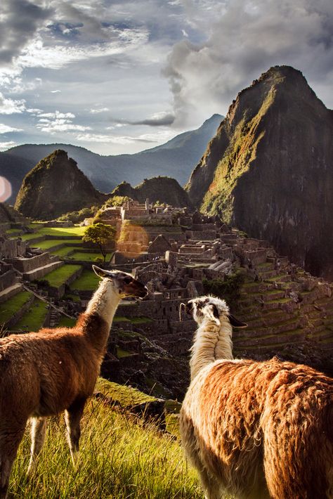 Peru Vacation, Never Ending Story, Machu Picchu Peru, Ending Story, Cusco Peru, Travel Company, Peru Travel, The Interview, South America Travel