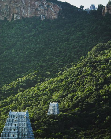 Tirupati Balaji Temple, Tirumala Hills, Lord Venkateswara Images Full Hd Wallpaper, Tirumala Venkateswara Temple, Balaji Temple, Venkateswara Temple, God Venkateswara Images Hd Wallpaper, Tirupati Balaji, Temple Photography