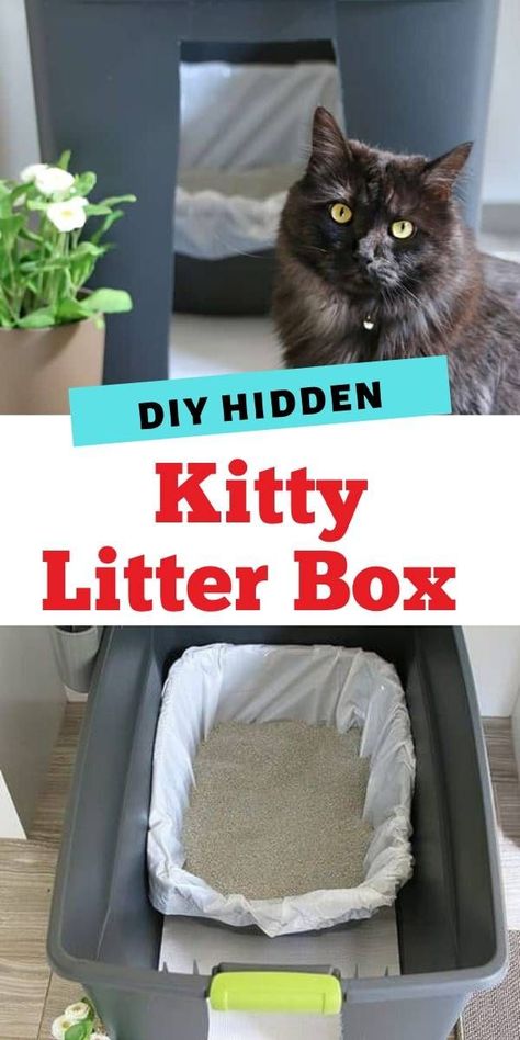 Hiding Cat Litter Box, Diy Litter Box, Best Litter Box, Diy Cat Bed, Diy Cat Litter, Tidy Cats, Kitty Litter, Litter Box Enclosure, Diy Cat Toys