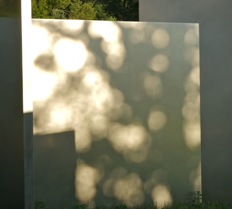 Edward Tufte, Sunlight Photography, Shadow Painting, Rain Lights, Carnegie Museum Of Art, Pinhole Camera, Dappled Light, Shadow Art, Light Architecture