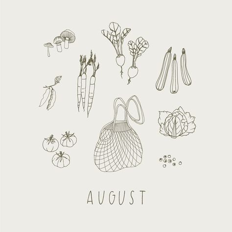 Market Doodle, Ryn Frank, Hello August, Leaf Illustration, Line Artwork, My Obsession, Cat Flowers, Bullet Journal Inspo, Ghost In The Shell