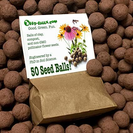 US Native Wildflower Seed Bombs for Pollinators (50 Pack). Regional Wildflower Mix Seed Balls for Guerrilla Gardening (Southeast) Adoption Finalization, Guerrilla Gardening, Seed Balls, List Of Vegetables, Bombe Recipe, Wildflower Garden, Seed Paper, Wildflower Seeds, Easy Garden