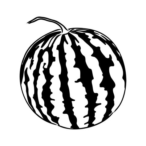 watermelon vector sketch Watermelon Black And White, Watermelon Sketch, Watermelon Drawing, Watermelon Vector, Watermelon Clipart, Outline Pictures, Watermelon Plant, Vector Sketch, Clipart Black And White