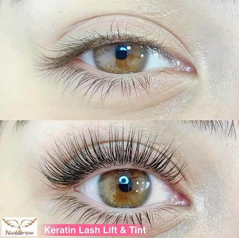 Keratin Lash Lift - Everything You Need to Know Lash Tint And Lift, Types Of Eyelash Extensions, Eyelash Lift And Tint, Keratin Lash Lift, Long Lashes Mascara, Natural Fake Eyelashes, Evening Eye Makeup, Grow Lashes, Eyelash Tinting