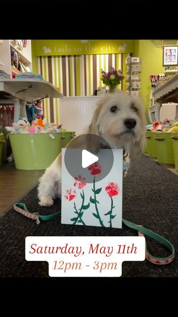 tailsinthecity on Instagram: "🐾🌸 Make this Mother’s Day extra special with our Paw Bouquet event! 🌼🐾   Treat yourself or a beloved pet parent to a unique and heartfelt gift on Saturday, May 11th between 12pm - 3pm.   Spend $50 or more in-store and receive a delightful canvas painting featuring your fur baby’s paw prints as charming flowers. 🎨🌷 Dog needs to be present.  Capture the love and joy your pets bring into your life with this one-of-a-kind keepsake. Hurry, don’t let this opportunity pass by! 🐾💖 WHILE SUPPLIES LAST!  #pawbouquet #mothersdayspecial #furbabyart #mothersdaygift #dogmom #dogsofinstagram #dogstagram #pawprints #chicago #flowers" Q Tip Art, Chicago Flowers, Dog Needs, Pet Ideas, Mothers Day Special, Mothersday Gifts, Paw Prints, Heartfelt Gifts, Pet Parent