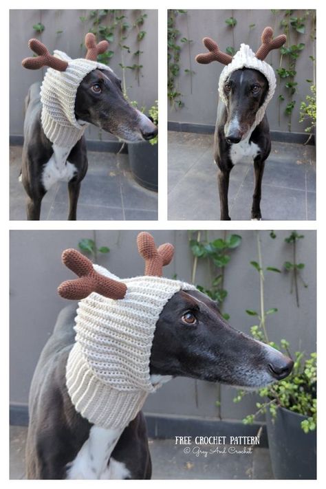 Reindeer Greyhound Snood Free Crochet Pattern Greyhound Snood Pattern Free, Dog Balaclava Crochet Pattern, Knit Dog Hat Pattern Free, Crochet Dog Snood Free Pattern, Dog Snood Crochet Pattern, Crochet Dog Snood, Free Crochet Pattern Christmas, Crochet Dog Sweater Free Pattern, Doggie Clothes