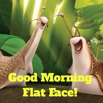 Good Morning Flat Face Epic Slug Snail Character Design, Snail Character, Flat Face, Epic Movie, Monster University, Slug, Cartoon Movies, Dvd Blu Ray, Fantasy Fashion