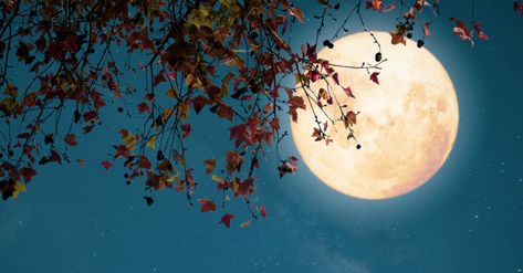 There’s a curious connection between Halloween and Reformation Day, and it’s more than just proximity on the calendar. Reformation Day, Eclipse Lunar, Saints Days, All Souls Day, All Saints Day, Lunar Calendar, Night Pictures, All Souls, Autumn Night