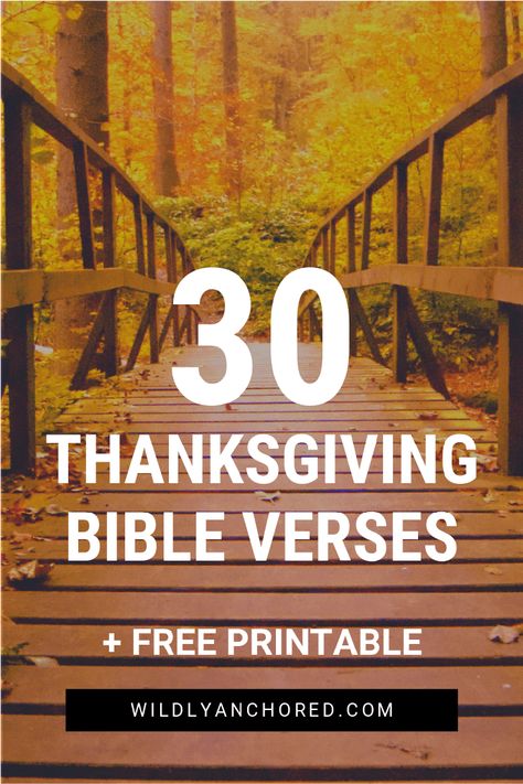 Celebrate the season of thankfulness with these 30 Thanksgiving Bible Scriptures. Includes FREE Printable! Thanksgiving Bible Verses Printables, November Scripture, Thankful Bible Verses, Thanksgiving Verses, Changing Mindset, Psalm 140, Thanksgiving Devotions, Thanksgiving Scripture, Short Scriptures