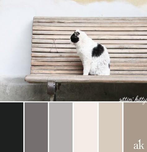 a cat-inspired color palette // soft black, gray, tan Grey Color Scheme, Room Color Schemes, Bedroom Color Schemes, Color Palate, Design Seeds, Room Black, Neutral Color Scheme, Door Color, Color Pallets