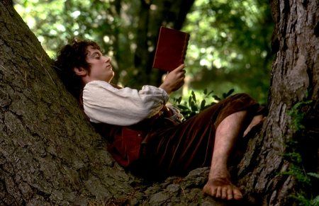 Frodo's reading spot Billy Boyd, Celebrities Reading, Concerning Hobbits, People Reading, Frodo Baggins, Elijah Wood, An Unexpected Journey, The Two Towers, The Shire