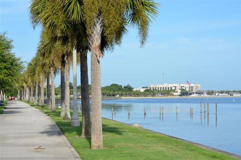 Florida Trail, Sanford Florida, River Walk, Florida Home, Florida, Lake, Water, Travel