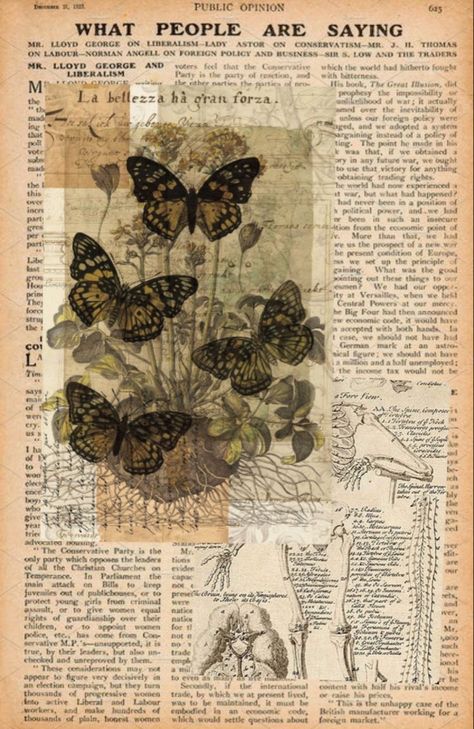 Newspaper Aesthetic Wallpaper, Butterfly Newspaper, Newspaper Aesthetic, Vintage Poster, Aesthetic Wallpaper, Newspaper, Butterflies, Collage