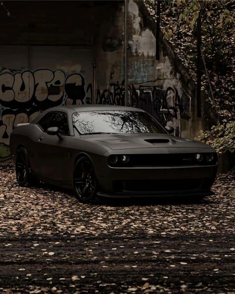 Dodge Challenger SRT Hellcat: The Muscle Car

#Dodge #Cultureevolution #hellcat #wallpaper Hell Cat Charger, Hellcat Wallpaper, Doge Challenger, Black Vehicles, Challenger Demon, Dodge Challenger Scat Pack, Cars Drifting, Hellcat Srt, Hell Cat