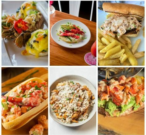 36 Leftover Lobster Recipes [With Pasta & More] Leftover Lobster Recipes, Leftover Lobster, Recipes With Pasta, Frozen Lobster, Lobster Recipes Tail, Lobster Salad, Bisque Recipe, Lobster Tail, How To Cook Lobster