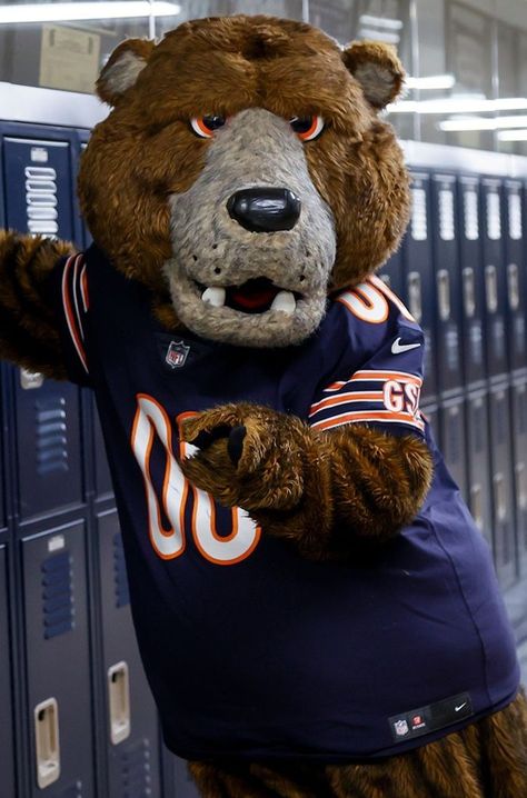 Nfl Mascots, Sports Mascot, Bear Mascot, Team Mascots, Chicago Bears, Nfl Teams, Mascot Costumes, Bears, Nfl