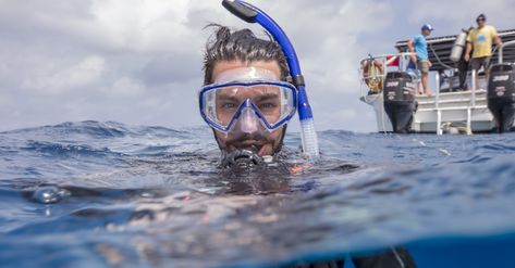 ✨ Protective hairstyles for diving ✨ How to keep your hair moisturized and nourished ✨ Dealing with pesky hair tangles and knots ✨ Tips for preventing hair breakage and damage Click the link to learn how to avoid hair related issues when diving! 🔗 How To Braid Hair, Face Lace, How To Braid, Pigtail Braids, Two Braids, Hair Healthy, Diving Gear, Braid Hair, Full Face Mask