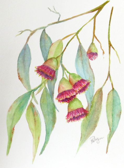 Watercolor Australian Flowers, Watercolour Gum Leaves, Bookmark Calligraphy, Australia Tattoos, Eucalyptus Painting, Botanical Silhouette, Gum Flowers, Blinky Bill, Deb Ball