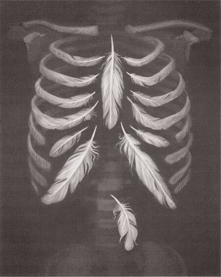 Feather ribcage. Interesting surrealistic idea. Heart Anatomical, Super Tattoo, Tattoo Heart, Art Et Illustration, Art And Illustration, Anatomy Art, Rib Cage, Pics Art, Gotham