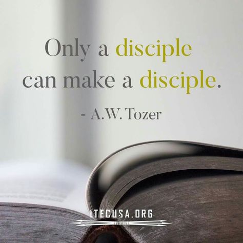 Discipleship 101 www.inchristiamshe.com Discipleship Quotes, Aw Tozer Quotes, Bible Study Fellowship, Doers Of The Word, God Speaks, Bible Study Help, Godly Men, Soli Deo Gloria, Blessed Life