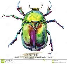 Insect Art Projects, Beetle Watercolor, Crawling Animals, Bug Illustration, Insect Watercolor, Beetle Illustration, Beetle Art, Beetle Insect, Bug Art