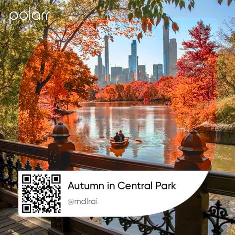 Polarr 
Autumn 
Central Park 
New York 
NYC
NY
Filter
Preset 
Code
Beautiful Filter Code, Polarr Filters, Polarr Codes, Central Park, Filter, Coding, Songs, Movie Posters, Quick Saves