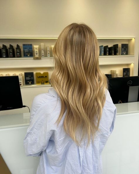 Blonde balayage with honey. Mousey brown balayage. Blonde babylights blonde higlights Honey Blonde Hair Inspiration, Blonde Babylights On Brown Hair, Honey Babylights, Mousey Blonde Hair, Brown Balayage Blonde, Blond Babylights, Mousey Brown, Balayage Honey, Honey Blonde Balayage