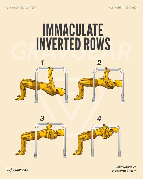 Inverted Rows Workout, Calisthenics Lower Body Workout, Inverted Row, Morning Workout Routine, Best Gym Workout, Suspension Trainer, Improve Your Posture, Bodyweight Exercises, Power Man