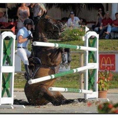 Horse fail | horse #fail #nothanks | Cool horse pics Funny Horse Pictures, Funny Horses, Horse Boarding, English Riding, Funny Horse, Horse Drawings, Horse Crazy, Horse Equestrian, Equestrian Life