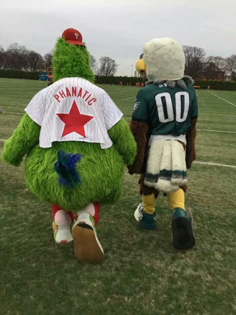 The Phillie Phanatic & Swoop ⚾ Phillies And Eagles, Philadelphia Eagles Widget, Philly Fanatic, Eagles Memes, Phillies Phanatic, Phillie Phanatic, Philly Style, Philly Eagles, Philly Sports