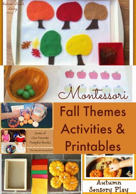 Montessori Toddler and Preschool Fall Themes Fall Curriculum For Preschool, September Montessori Lessons, Harvest Montessori Activities, November Homeschool, Ish Activities, November Preschool Themes, October Preschool Themes, Preschool November, Kindergarten September