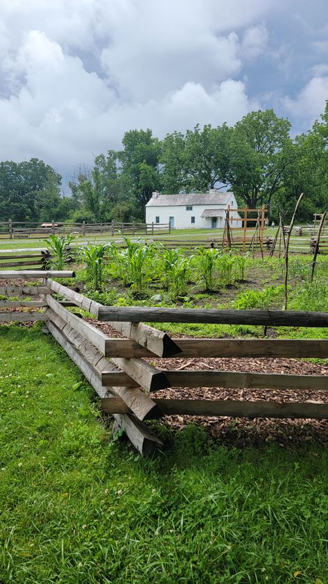 Colonial split rail fence historical style Livestock Fence Ideas, Western Fence Ideas, Homestead Fence, Homestead Fencing, Split Rail Fence Ideas, Cabin Fence, Colonial Fence, Log Fence, Clean Mind