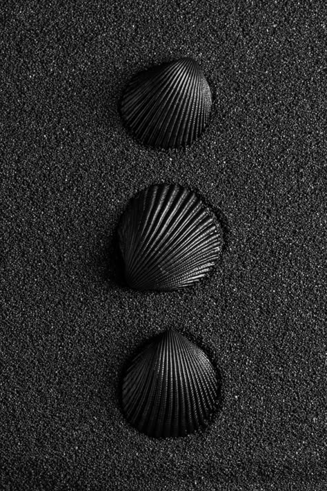 black wallpaper for girls Dark Esthetics Background, Dark Black Wallpaper Iphone Backgrounds, Black Classy Wallpaper, Black Summer Aesthetic, Black Nature Aesthetic, Aesthetic Black Wallpaper Dark, Wallpaper Iphone Backgrounds Black, Classy Wallpaper Iphone, Black Wallpaper Iphone Backgrounds