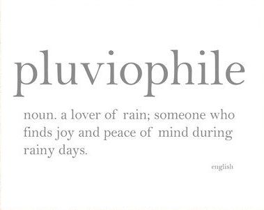 Pluviophile - a lover of rain Rain Lover Tattoos, Rainy Weather Quotes, Lover Of Rain, Rain Lover, Phobia Words, Mysterious Words, Weather Quotes, Unique Words Definitions, Uncommon Words