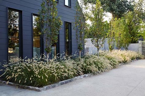 Nashville Residence-Bonadies Architect-05-1 Kindesign Gambrel House, Farmhouse Landscaping, Modern Landscape Design, Have Inspiration, Traditional Landscape, Design Exterior, Ornamental Grasses, Modern Landscaping, Landscape Projects