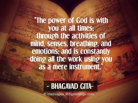 Devotee Quotes, Bhagavad Gita Quotes, Bhagwad Gita, Bhagwat Gita, Hindu Quotes, Geeta Quotes, Sanskrit Quotes, Power Of God, Radha Krishna Quotes