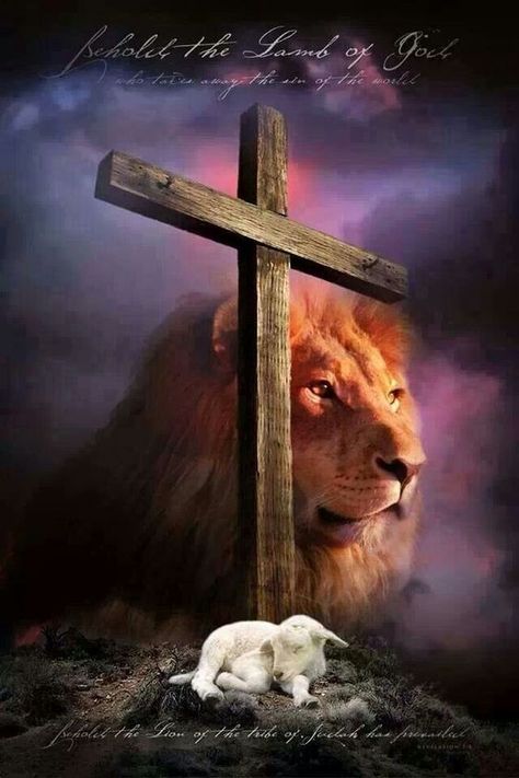 - His Mercy - The Lion And The Lamb, Lion And The Lamb, Lion Of Judah Jesus, Lion And Lamb, Lamb Of God, Prophetic Art, Ayat Alkitab, Pictures Of Jesus Christ, Jesus Christ Images