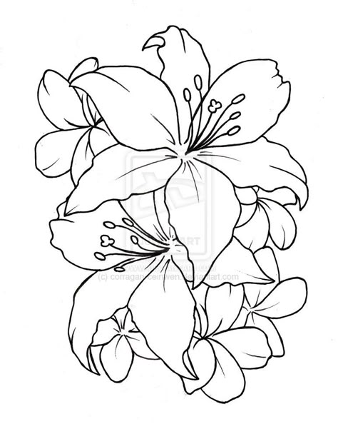 underneath- tatto flower drawings | Ceinwen On Deviantart - Free Download Tattoo #2433 Flower Tattoo ... Lilly Tattoo Design, Flower Tattoo Stencils, Simple Flower Tattoo, Lillies Tattoo, Flower Outline, Lily Tattoo, Tattoo Stencil Outline, Trendy Flowers, Plant Drawing