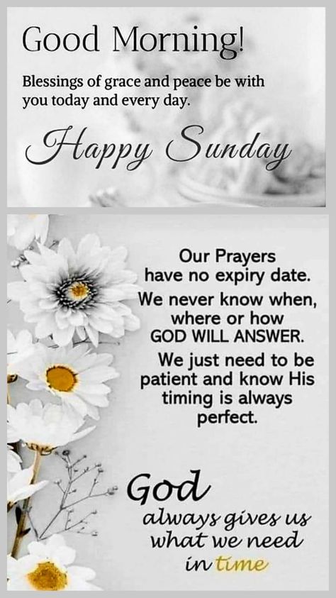 Good Morning Sunday Blessings Prayers, Sunday Blessings Inspiration, Nights Quote, Blessed Sunday Quotes, Blessed Sunday Morning, Good Morning Scripture, Inspirational Morning Prayers, Weekly Blessings, Good Morning Prayer Quotes